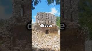 The Mysterious Truth About The Mayan Civilization#shortsvideo #shortsvideo #shorts #short