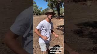 Daniel Ricciardo's impression of Sir David Attenborough.. don't quit the day job!