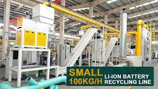 Small-scale Lithium Ion Battery Recycling Plant (100 KG/H)