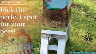 Choosing the perfect location for your beehive! | Winter Wisdom