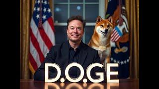 馬斯克語音外流「我有很多狗狗幣DOGE！」，SpaceX也有很多比特幣