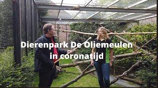 Dierentuin Interview Dierenpark de Oliemeulen in Coronatijd