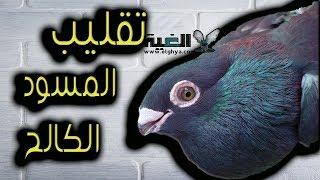 مواصفات المسود الكالح ابو وش طويل من #الغية