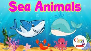 Sea Animals For Kids | Sea Animals Names | kids Vocabulary | Kids Ocean Education