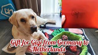From Germany to the Netherlands - A big hug and A lot of Gifts from A Hiver for Gigi
