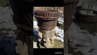 Новая работа, и всех с Вербным воскресеньем 
