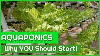 Aquaponics Gardening - Reasons why YOU Should Start!