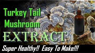 Turkey Tail Extract 2018 - Super easy to make / very healthy mushroom -Trametes versicolor tincture