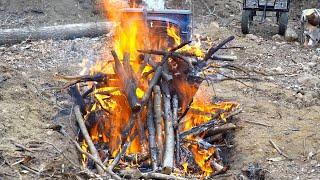 Biochar in the Forest, Creating the World's Richest Soil, Self Reliance Garden, Planting Fruit Trees