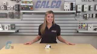 RK Electronics ISR Series Two-Channel Intrinsically Safe Relay | Galco