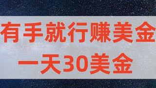 自由职业赚美金简单一天30美金，网赚项目，网赚，网络赚钱项目。