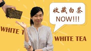 为什么收藏白茶Why Start Buying & Saving White Tea【白茶功效】【价值】