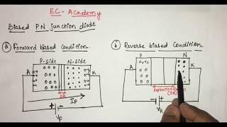 #3 P N junction diode under forward bias and reverse bias Condition || EC Academy