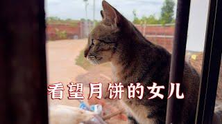 去看望我家猫的女儿