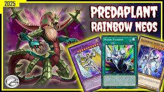 NEW Fusion Meta! Predaplant x Rainbow Neos Deck  | PC Gameplay JAN 2025 - Duel Links