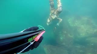 Spearfishing in Portugal Cascais