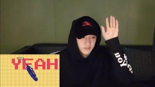 Chan reacting to Going Dumb @channies room Ep.98 and explaining about the line distribution