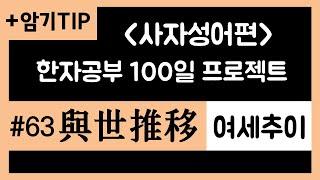 여세추이/사자성어/한자강의/공무원한자/한자급수/한자공부100일프로젝트