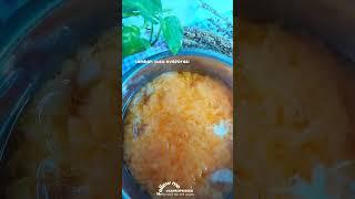 Es Jelly Mangga yang viral, bantu tonton ya #youtubeshorts #videoshort #resep #minumankekinian