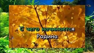 Детская песня Караоке С чего начинается Родина