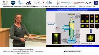 44/44 nonlinear microscopy