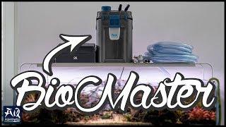 Der beste Thermofilter auf dem Markt? | AquaOwner