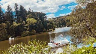 Vlog viagem a Gramado RS!!!Vocês não vão acreditar gente, é incrível