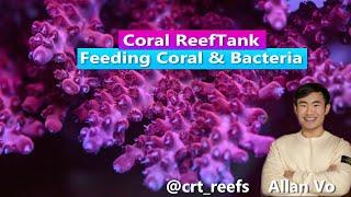 Feeding Coral utilizing Bacteria  with Allan Vo aka crt_reefs / Coral ReefTank