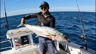 Monster Metro Mackie - Epic fishing session off Perth