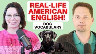 REAL-LIFE AMERICAN ENGLISH / VOCABULARY WITH PETS / DOGS AND CATS / ENGLISH AMERICAN PRONUNCIATION
