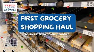 First ever grocery shopping in UK | Tesco Express | Swansea, Wales |