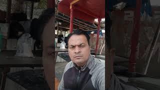 masti always masti masala