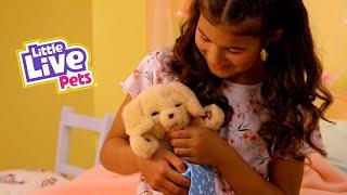 Little Live Pets | The World of Little Live Pets | TVC 15