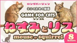 [Video MIX for Cats] Mouse & Squirrel 8 hours GAME FOR CATS - SIMPLE - Mouse & Squirrel 8 hours