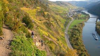 Weingut Karl Schauf, Ediger-Eller, ZDF Länderspiegel