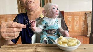 Monkey Poor refuses to eat bananas and wants to eat her favorite food