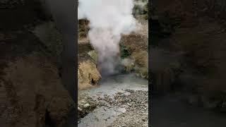 Dragon’s Mouth Springs, Yellowstone National Park 5/11/23 #travel #vaca #yellowstone #hotsprings