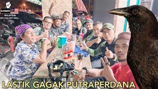 Slingshot hunting birds pest control | Berburu hama gagak pakai ketapel | Lastik basmi burung gagak