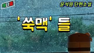 '쑥맥'들 |윤석원 단편소설 | 요절복통 58년 개띠 동창 모임