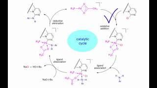 The mechanism for metal-catalyzed substitution at an sp2-carbon