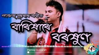 Assamese  song 2019/Barixare Boroxun/Aranyam Dowarah