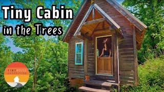 Could you live here? Dreamy Tiny House Cabin in the trees