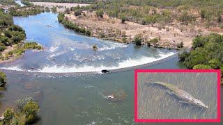 MONSTER CROC towers over BULL SHARK - Ivanhoe Crossing Kununurra, The Kimberley, WA