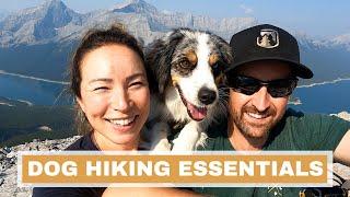 Dog Hiking Gear Essentials: 5 Items I Always Bring On Hikes with Farley