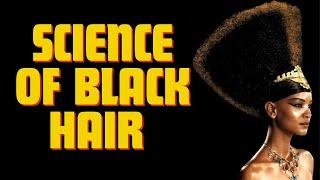 Science of Black Hair {Event Highlights}