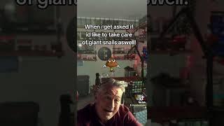 No chance! #fypage #funny #spider #spiderspecies #tarantula #giantspider #fypyoutube #robertdeniro