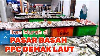 Ikan Murah di PASAR BASAH PCC DEMAK LAUT, Kuching, Sarawak Malaysia #2024 #pccdemaklaut #borneo