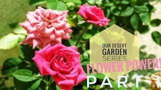 Flower Power Quotes |Desert Garden Series |Flowering Plants