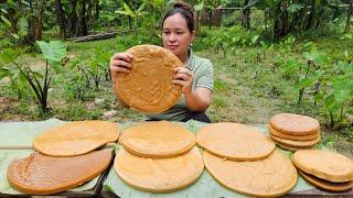 How To Make Cakes From Rice - Cook Squash With Vegetables For Pigs - Lý Thị Ca