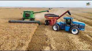 Kiowa Kansas Wheat Harvest June 2024 | 6 John Deere Maximizer Combines